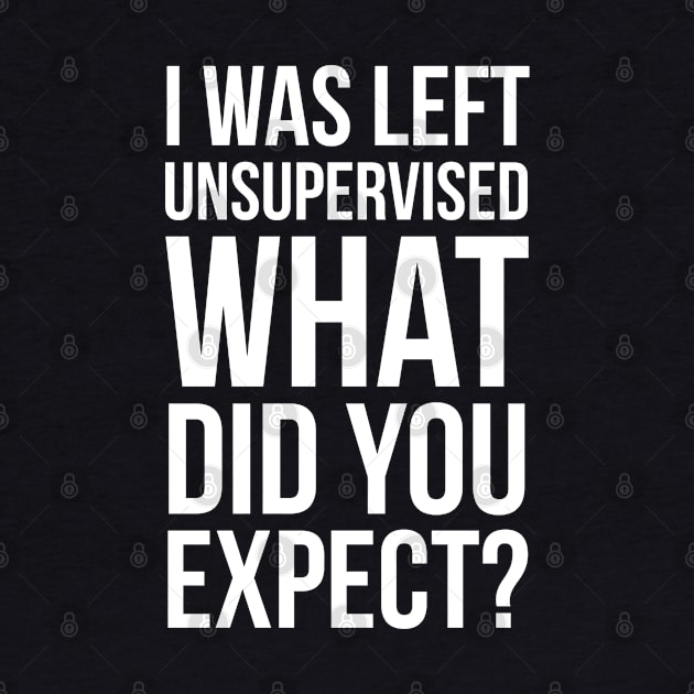 I Was Left Unsupervised What Did You Expect? by evokearo